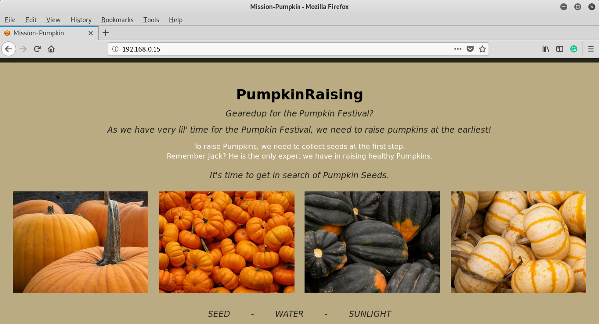 HTTP (Port 80) Welcome Screen on PumpkinRaising